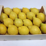Лимоны из Испании фото