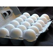 Яйца домашней птицы для потребления