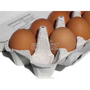 Яйцо столовое