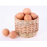 Яйца птиц фото