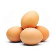 Яйцо молодой курицы яйца куриные яйца. фото
