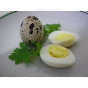 Яйцо Перепелиное