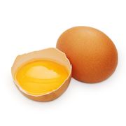 Товарное яйцо