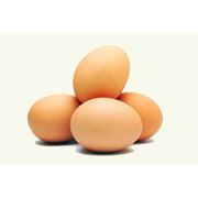 Яйцо отборное молодой курицы фото