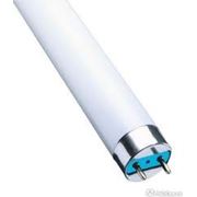 Лампа газоразрядная ртутная низкого давления Pila LF 36W/33 230V G13 фотография