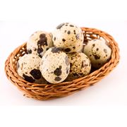 Яйца перепелиные пищевые Россия Краснодарский край Тимашевск продажа купить.