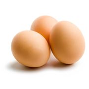 Яйцо молодой курицы фото