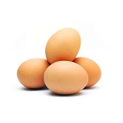 Куриные яйца фото