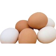 Яйца куриные С-1