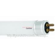 Лампа газоразрядная ртутная низкого давления Сamelion FT5-13W 230V G5 фотография