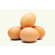 Яйца куриные домашние фото