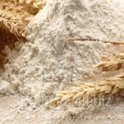 Мука пшеничная первого сорта фотография