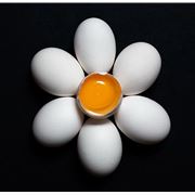 Яйцо куриное пищевое 2 категории