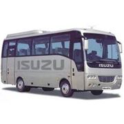 Автобусы фото