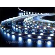 Открытая светодиодная лента 3528, 300 LED, IP33 белый холодный, белый теплый, красный, синий, желтый, зеленый фотография