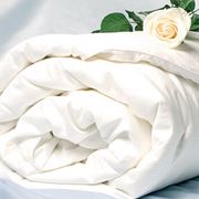 Одеяла шелковые фотография