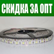 Светодиодная лента 5050smd 60шт/м 13Вт IP55