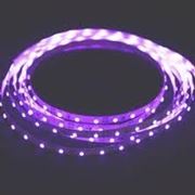 Откр. светодиодная лента пурпурного свечения 3528, 300 LED, IP33