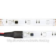 Лента SPI-5000E 12V RGB 1804IC (BT-5060, 150 LED) фотография