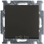 Выключатель одноклавишный ABB Basic 55 (шато-черный) фото