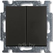 Выключатель двухклавишный ABB Basic 55 (шато-черный) фото