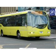 Автобусы фото