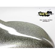 Краска Star Dust блестки Silver / Серебро 50/100 мкр 50 гр фото