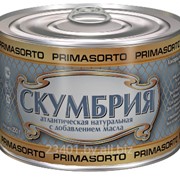 Скумбрия атлантическая натуральная с добавлением масла фото