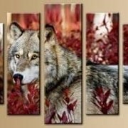 Пятипанельная модульная картина 80 х 140 см Волк в красных кустах фотография