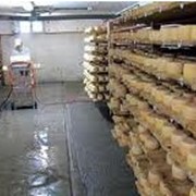 Монтаж систем кондиционирования помещения для созревания сыра