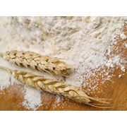 Мука пшеничная первый сорт фото