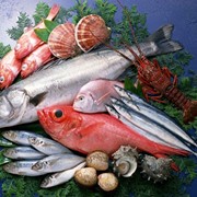 Импорт рыбы и морепродуктов фото