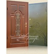 Элитные металлические двери с коваными элементами фото