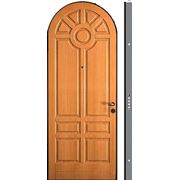 Арочная бронированная дверь TRIUMPH ARCO фото
