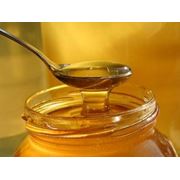 Мёд из лесного разнотравья фотография