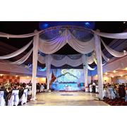 Организация свадебных торжеств фото