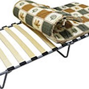 Кровать раскладная КАМИЛЛА (на ламелях), с матрасом фото