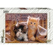 Пазлы 560 элементов, “Котята“, (Степ Пазл) фото