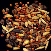 Пищевые продукты из зерновых фото