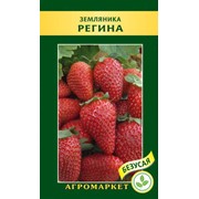 Семена, сорт Земляника Регина. Минимальный заказ от 100$. Минимальное количество одной позиции в заказе от 20шт. фото