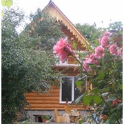 Уютные деревянные дома фото
