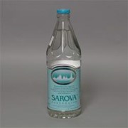 Негазированная минеральная вода «Сарова» фото