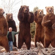 Охота на Камчатского медведя фото