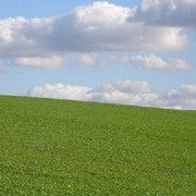 Предоставление земельных участков в аренду фото