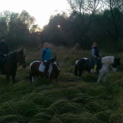 Конные прогулки, конные походы фото