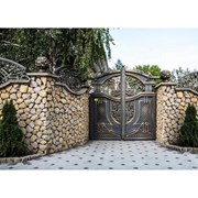 Ворота кованные Ф24 фото