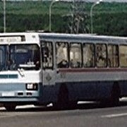 Автобус большого класса - МАРЗ-5266, автобус городской, автобус фотография