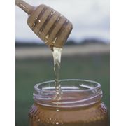 Вересковый мед фото
