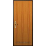 Дверь металлическая Модель Порошок- Ламинат фото