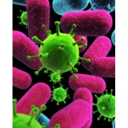 Уничтожение вирусов дезинфекция Киев фото